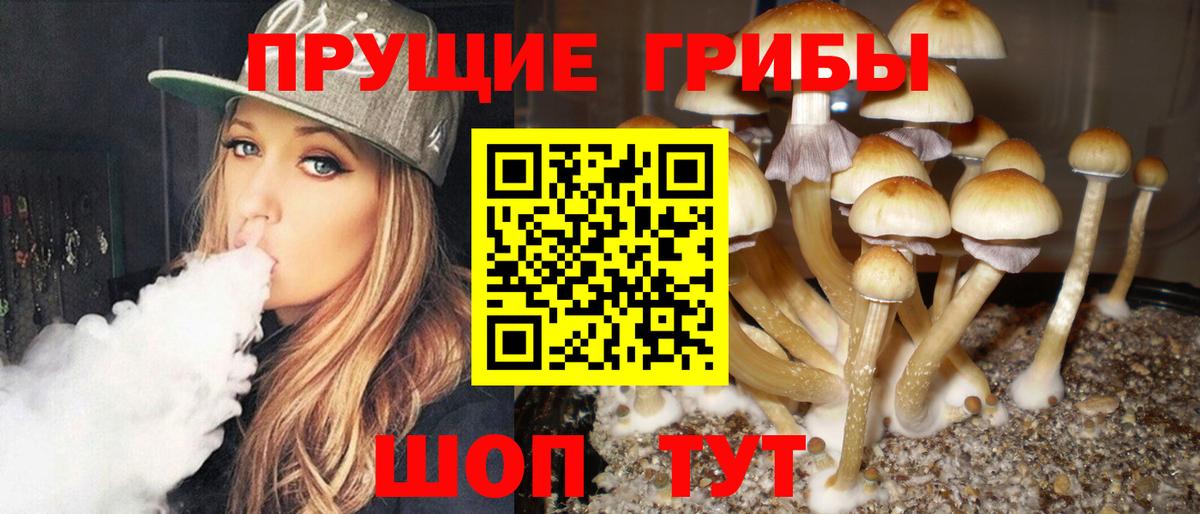 Псилоцибиновые грибы Magic Shrooms Алатырь